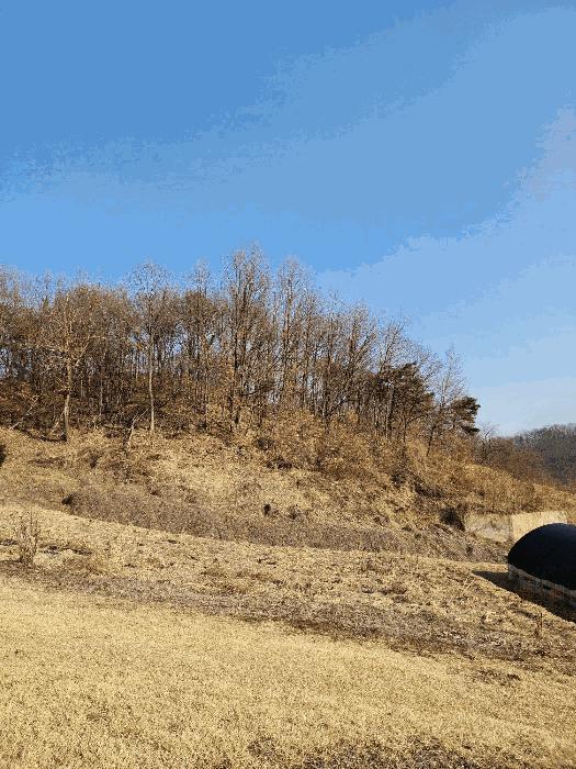 충청북도 음성군 금왕읍 각회리 산104-8 임야 경매 사진 6