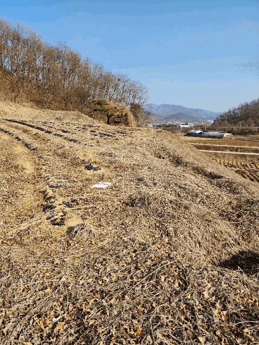 충청북도 음성군 금왕읍 각회리 산104-8 임야 경매 사진 7