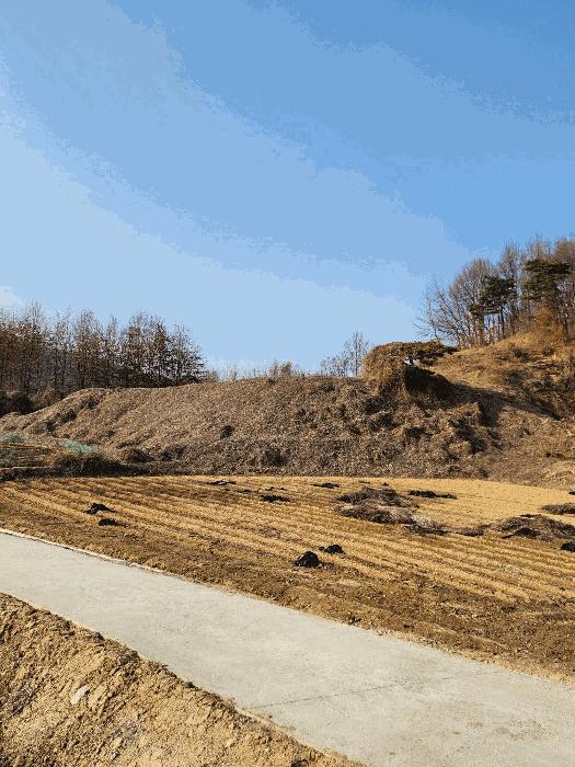 충청북도 음성군 금왕읍 각회리 산104-8 임야 경매 사진 8