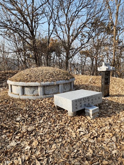 충청북도 음성군 금왕읍 각회리 산104-8 임야 경매 사진 9