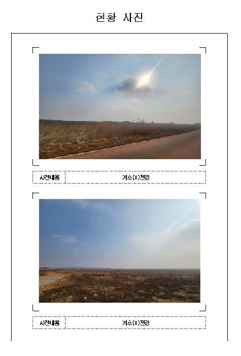 전라남도 영암군 삼호읍 난전리 2160 잡종지 경매 사진 7