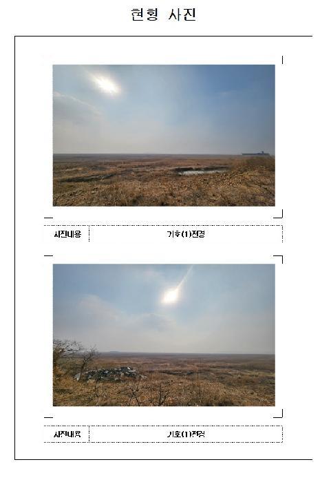 전라남도 영암군 삼호읍 난전리 2160 잡종지 경매 사진 8