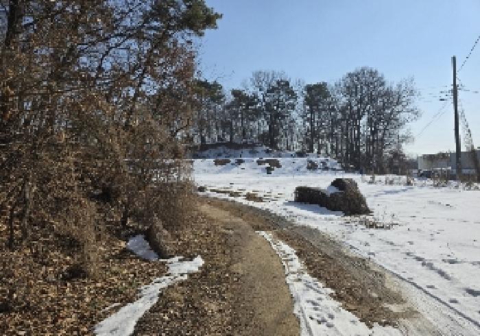 충청북도 음성군 삼성면 상곡리 산50-1 임야 경매 사진 13