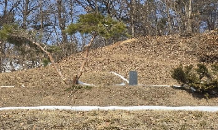 충청북도 음성군 삼성면 상곡리 산50-1 임야 경매 사진 16
