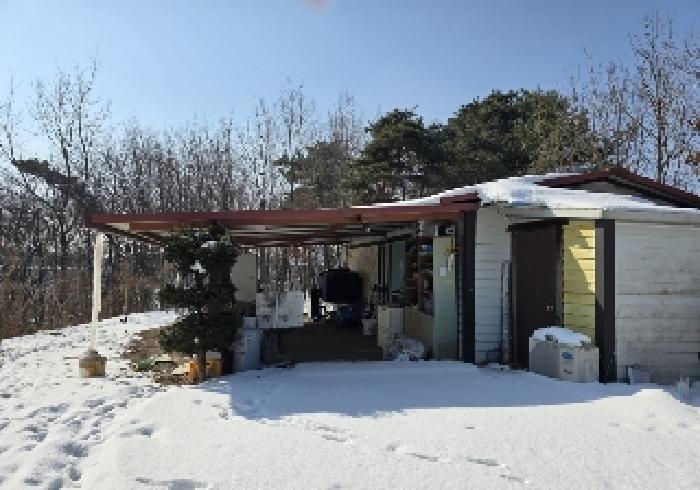 충청북도 음성군 삼성면 상곡리 산50-1 임야 경매 사진 19