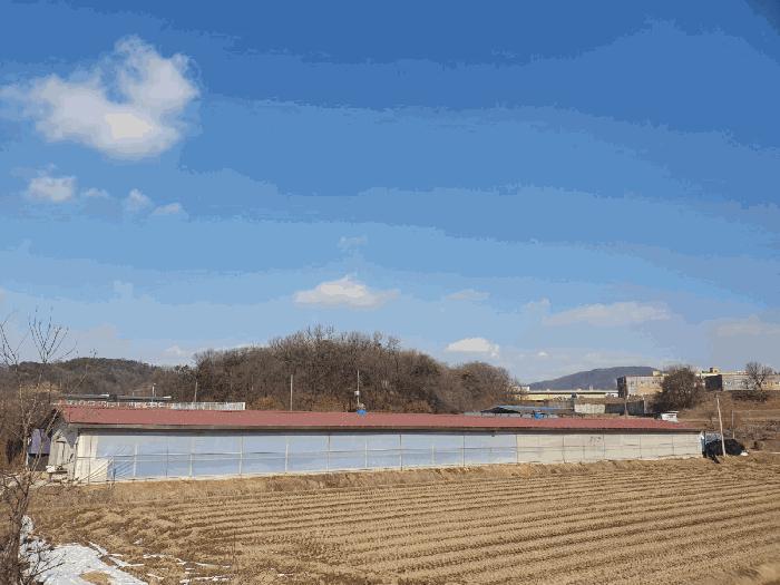 충청북도 음성군 삼성면 상곡리 산50-1 임야 경매 사진 2