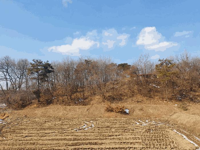 충청북도 음성군 삼성면 상곡리 산50-1 임야 경매 사진 3