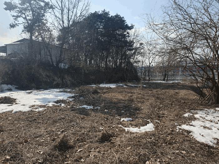 충청북도 음성군 삼성면 상곡리 산50-1 임야 경매 사진 4