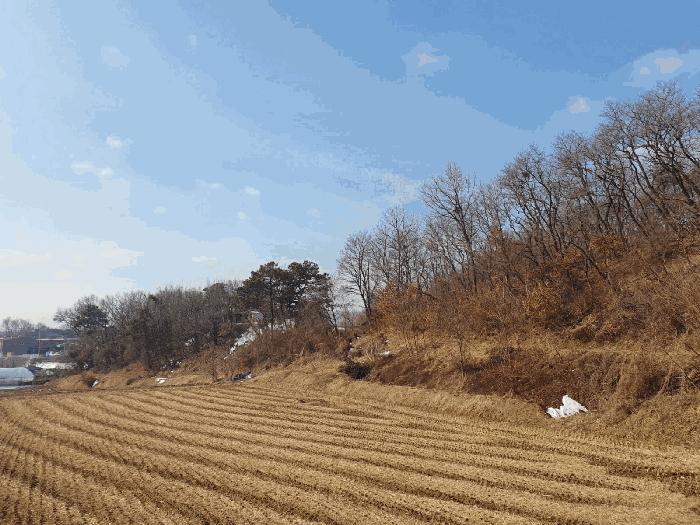 충청북도 음성군 삼성면 상곡리 산50-1 임야 경매 사진 5