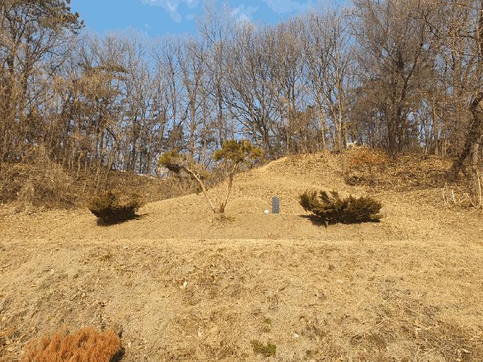 충청북도 음성군 삼성면 상곡리 산50-1 임야 경매 사진 9