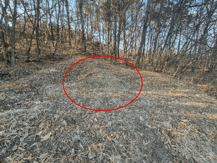 충청북도 음성군 대소면 수태리 593-1 임야 경매 사진 1