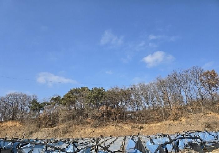 충청북도 음성군 대소면 수태리 593-1 임야 경매 사진 11