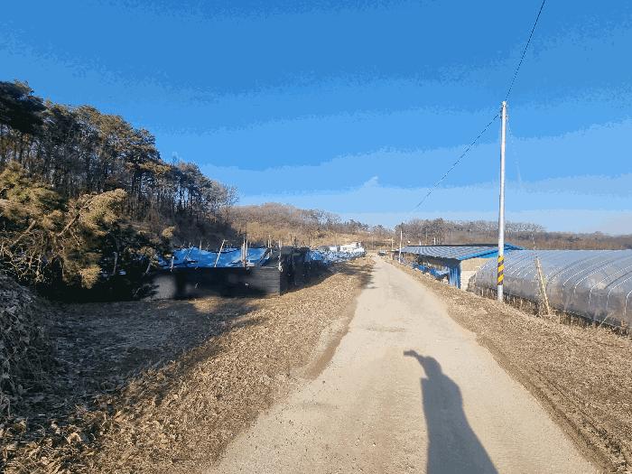 충청북도 음성군 대소면 수태리 593-1 임야 경매 사진 2