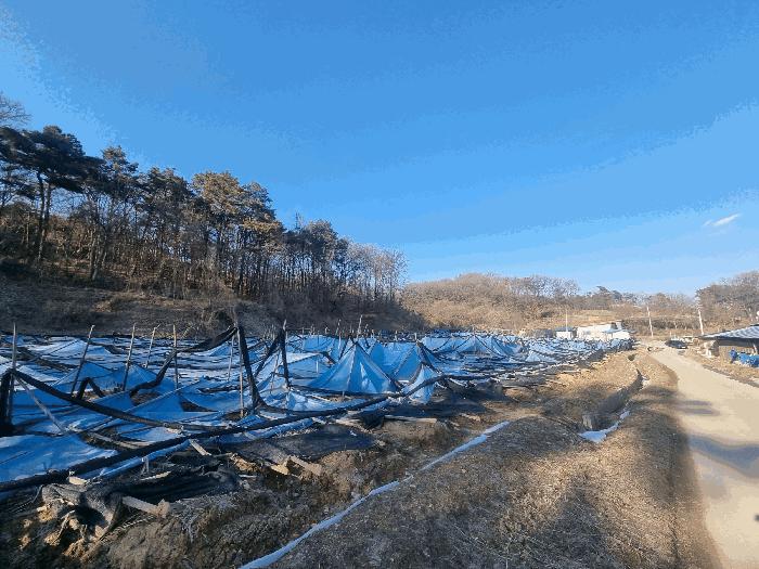 충청북도 음성군 대소면 수태리 593-1 임야 경매 사진 6