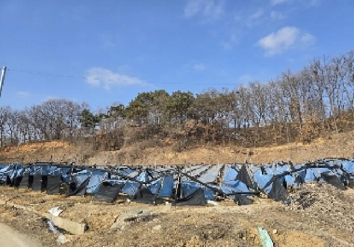 충청북도 음성군 대소면 수태리 593-1 임야 경매 사진 9
