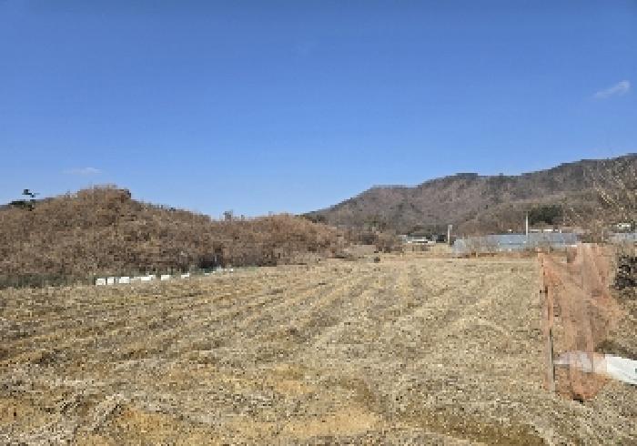 충청북도 음성군 원남면 덕정리 129-1 전 경매 사진 9