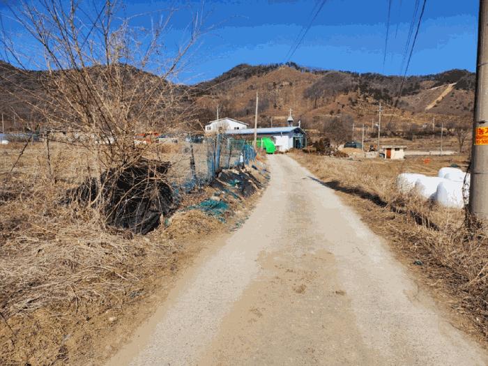 충청북도 음성군 원남면 덕정리 135 전 경매 사진 1
