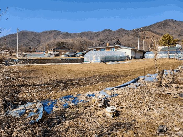충청북도 음성군 원남면 덕정리 135 전 경매 사진 10
