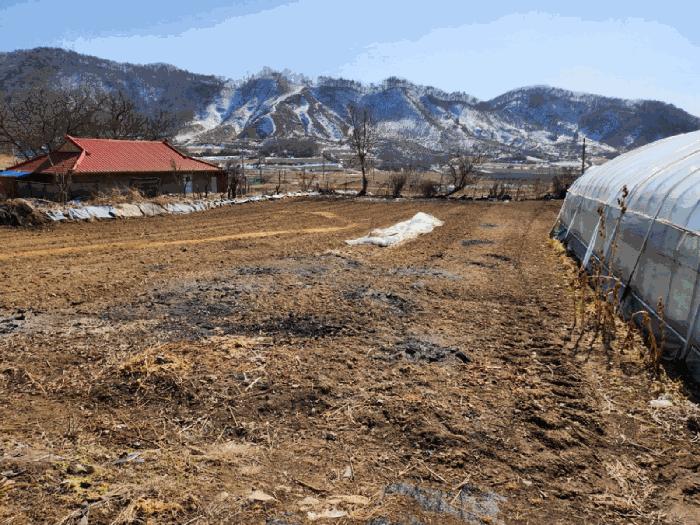 충청북도 음성군 원남면 덕정리 135 전 경매 사진 2