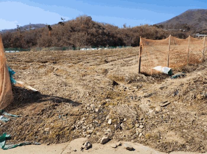 충청북도 음성군 원남면 덕정리 135 전 경매 사진 6