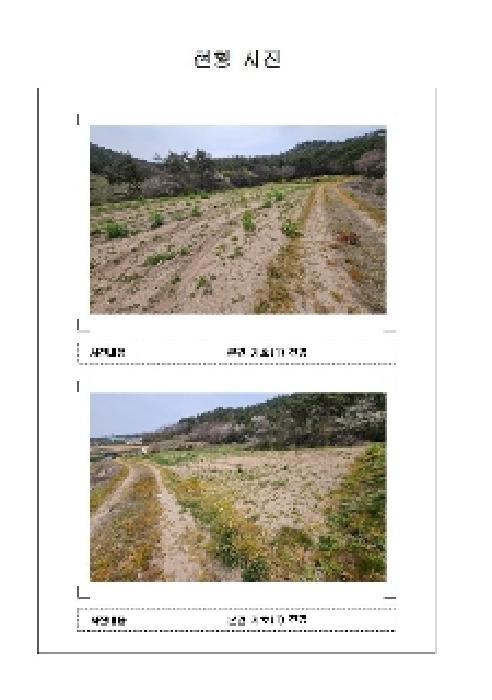 전라남도 신안군 지도읍 광정리 1335 전 경매 사진 6