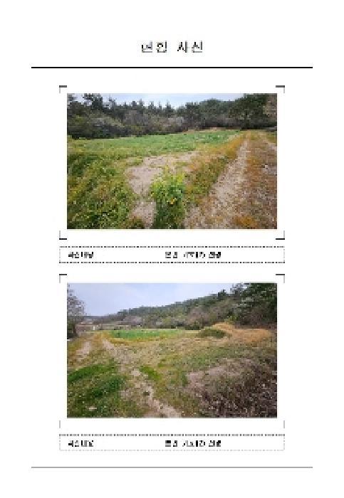전라남도 신안군 지도읍 광정리 1335 전 경매 사진 7