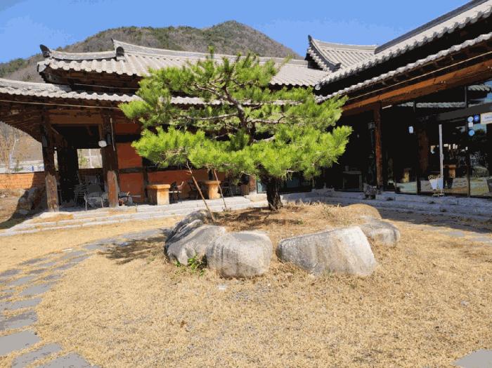 충청북도 단양군 대강면 두음리 550 펜션(캠핑장) 경매 사진 18