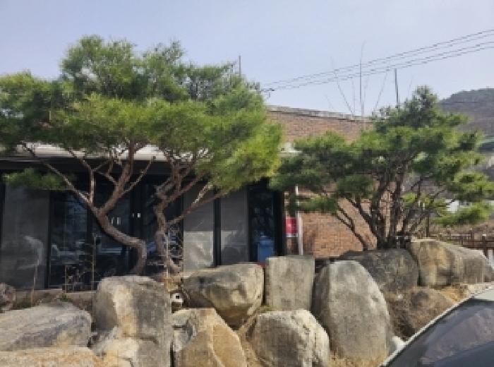 충청북도 단양군 대강면 두음리 550 펜션(캠핑장) 경매 사진 45