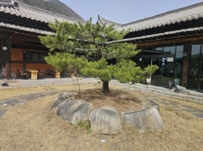 충청북도 단양군 대강면 두음리 550 펜션(캠핑장) 경매 사진 46