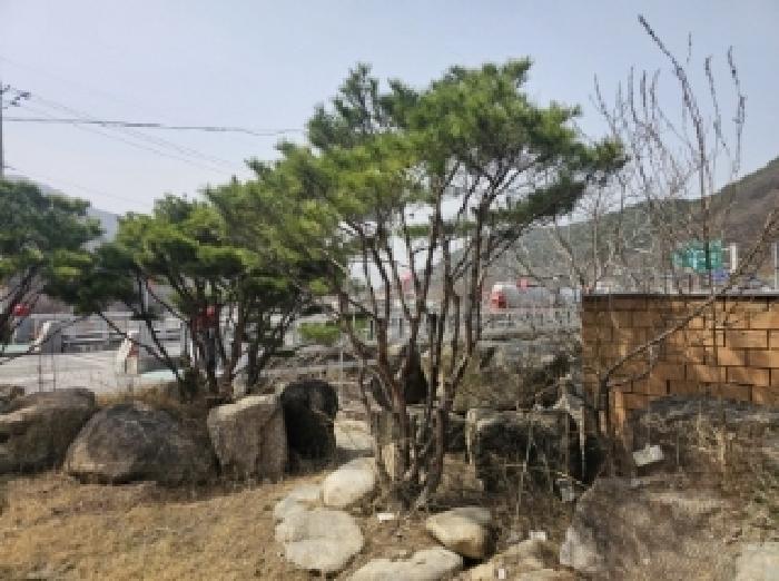 충청북도 단양군 대강면 두음리 550 펜션(캠핑장) 경매 사진 49