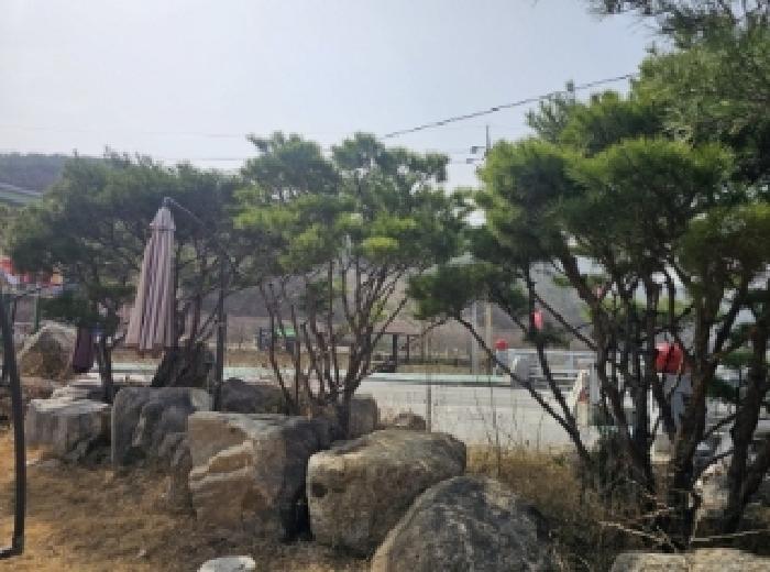 충청북도 단양군 대강면 두음리 550 펜션(캠핑장) 경매 사진 50