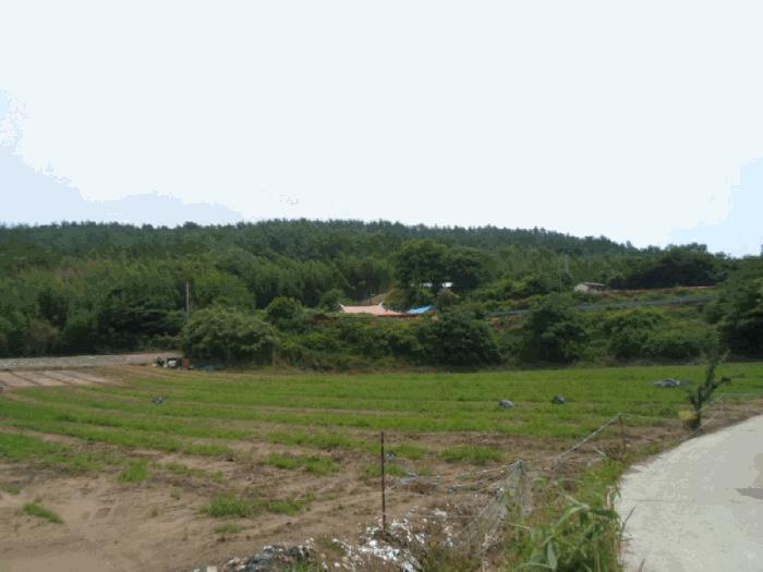 전라남도 해남군 북일면 방산리 산14 임야 경매 사진 4