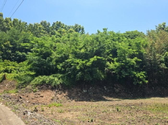 전라남도 해남군 북일면 방산리 산14 임야 경매 사진 7