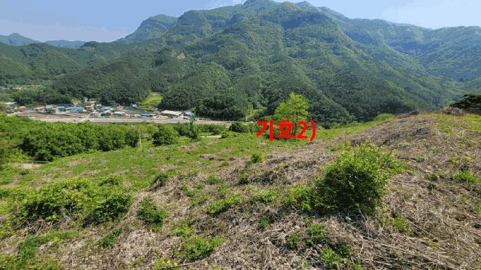 전북특별자치도 무주군 적상면 사산리 산229-10 목장용지 경매 사진 5
