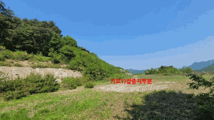전북특별자치도 무주군 적상면 사산리 산229-10 목장용지 경매 사진 7