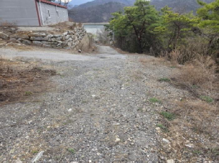 충청북도 제천시 수산면 상천리 산55-13 임야 경매 사진 22