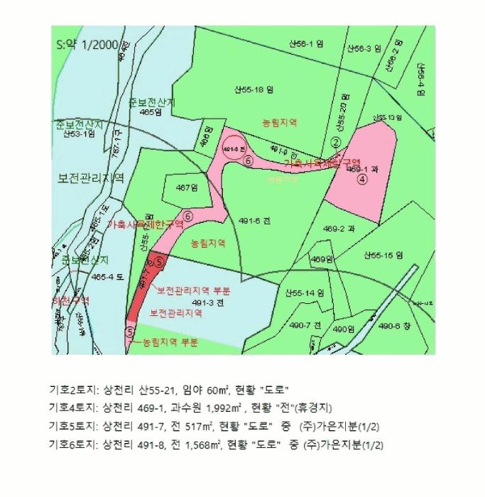 충청북도 제천시 수산면 상천리 산55-13 임야 경매 사진 28