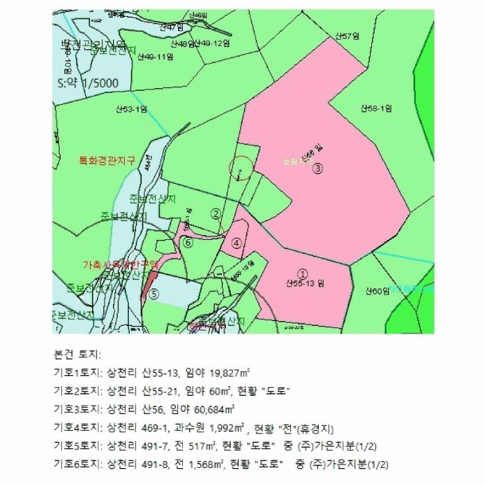 충청북도 제천시 수산면 상천리 산55-13 임야 경매 사진 29