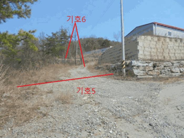 충청북도 제천시 수산면 상천리 산55-13 임야 경매 사진 8