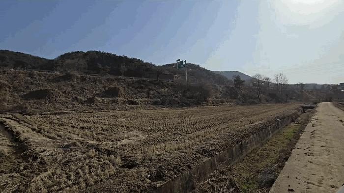 충청북도 제천시 금성면 월림리 184-1 답 경매 사진 1