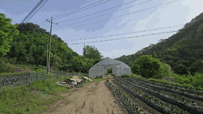 충청북도 제천시 금성면 활산리 129 전 경매 사진 2
