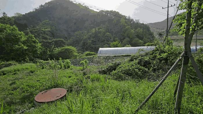 충청북도 제천시 금성면 활산리 129 전 경매 사진 3