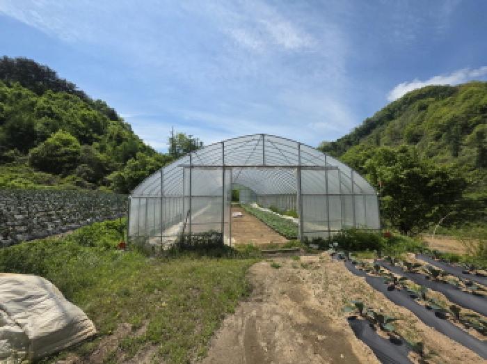 충청북도 제천시 금성면 활산리 129 전 경매 사진 7
