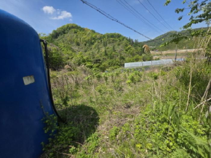 충청북도 제천시 금성면 활산리 129 전 경매 사진 9