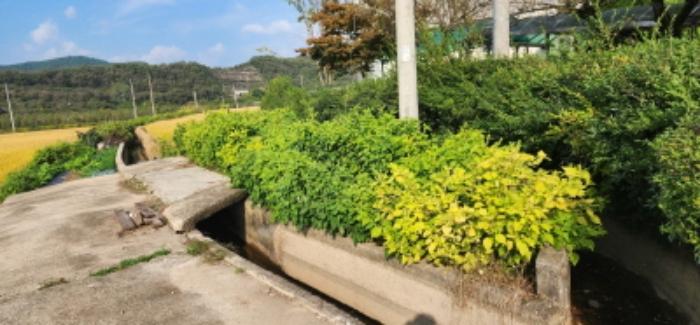 경상북도 안동시 일직면 귀미리 1065-7 답 경매 사진 4