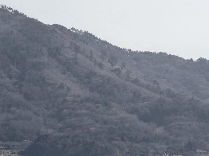 경상남도 고성군 동해면 장기리 산191 임야 경매 사진 3