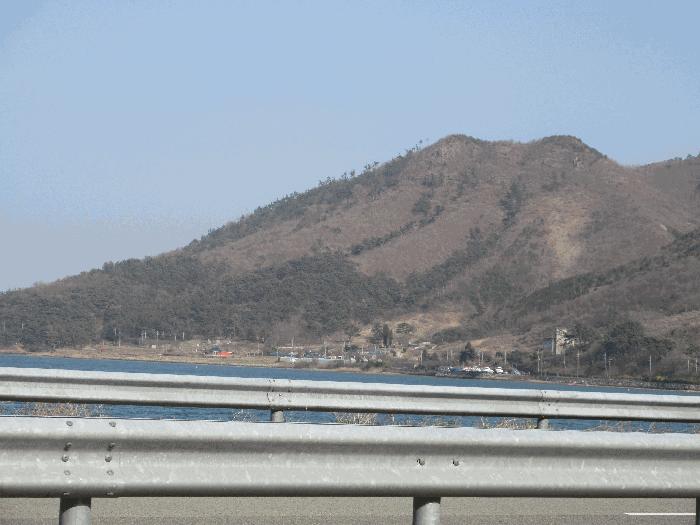 경상남도 고성군 동해면 장기리 산191 임야 경매 사진 4