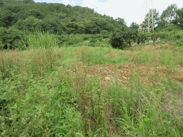 전라남도 순천시 해룡면 용전리 595 전 경매 사진 3