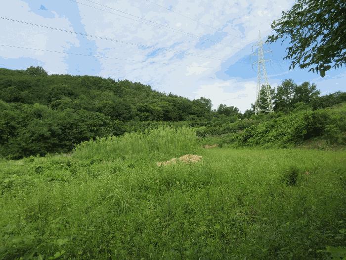 전라남도 순천시 해룡면 용전리 595 전 경매 사진 4