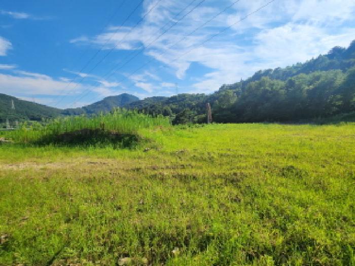 전라남도 순천시 해룡면 용전리 595 전 경매 사진 9